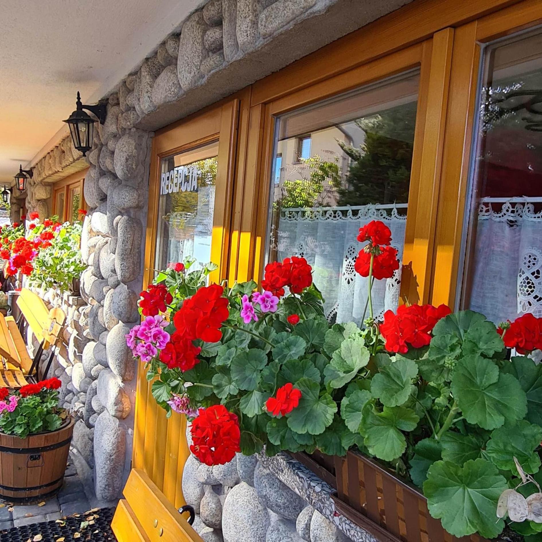 Villa D.W Teresa à Zakopane Extérieur photo