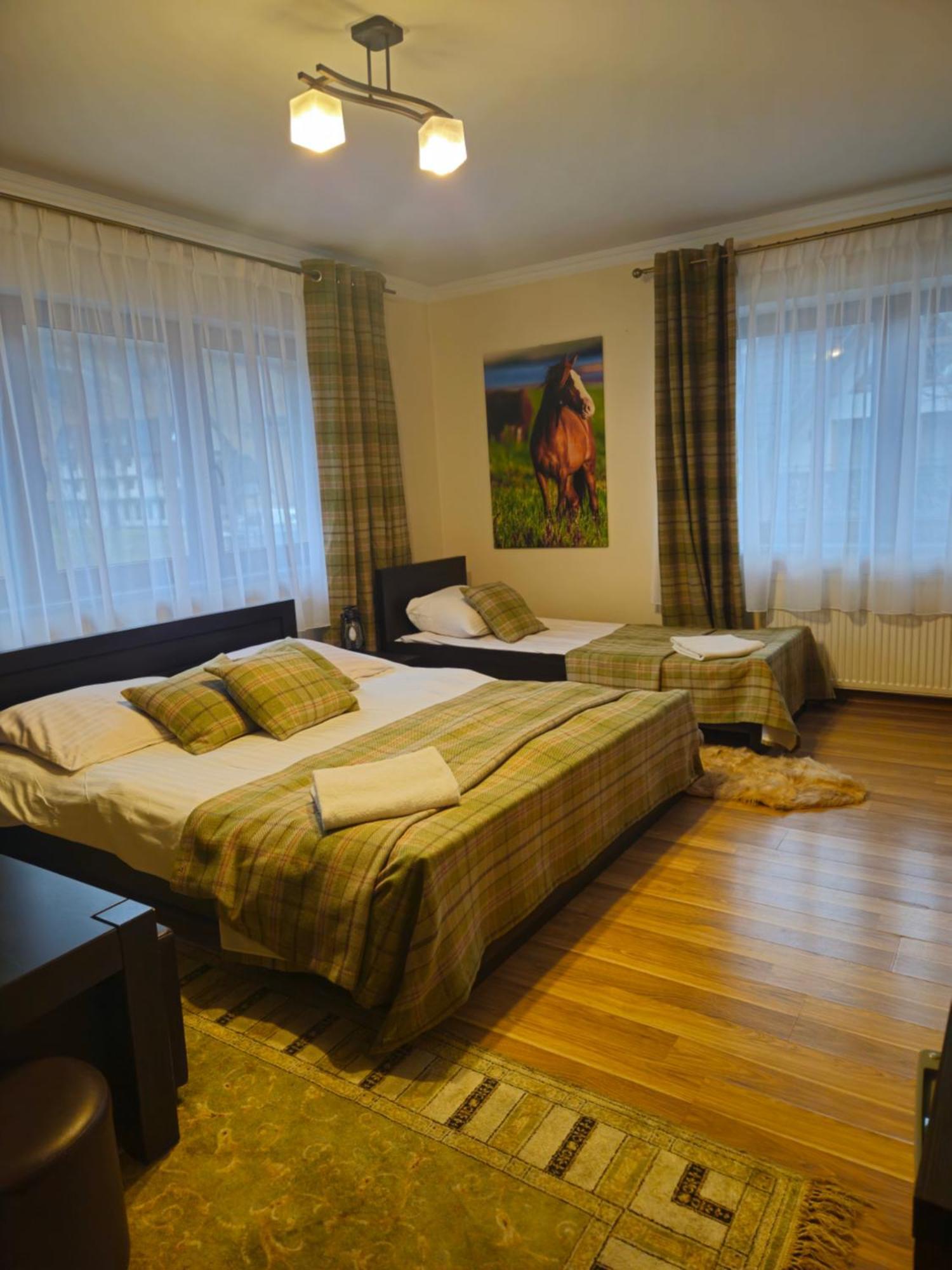 Villa D.W Teresa à Zakopane Extérieur photo